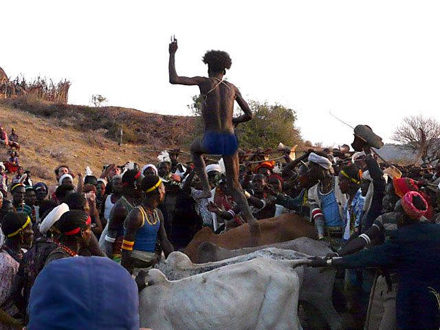 Hamer Tribe Bull Jumping